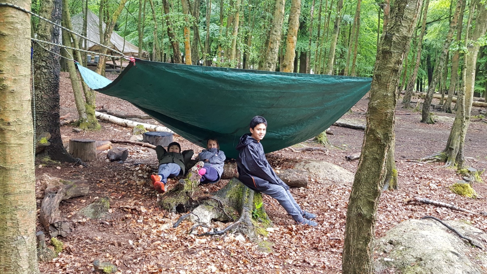 20190529 160209 (Large)